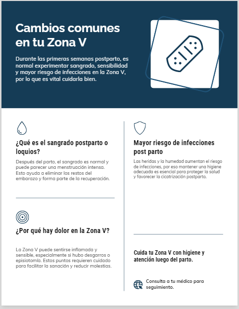 Toallas sanitarias postparto 