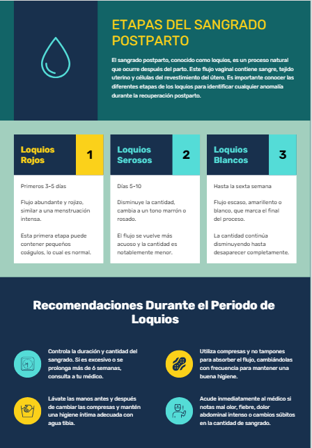Toallas sanitarias postpartos