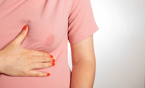 Almohadillas de lactancia